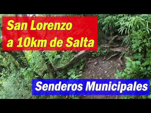 Senderos de San Lorenzo: Naturaleza y Yungas Cerca de Salta