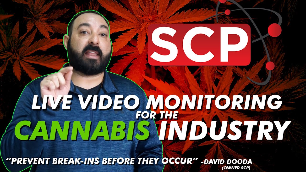 Live Video Monitoring Best Security System 2022 Industrial