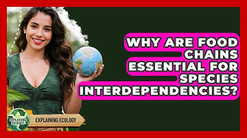 Why Are Food Chains Essential For Species Interdependencies? - Explaining Ecology