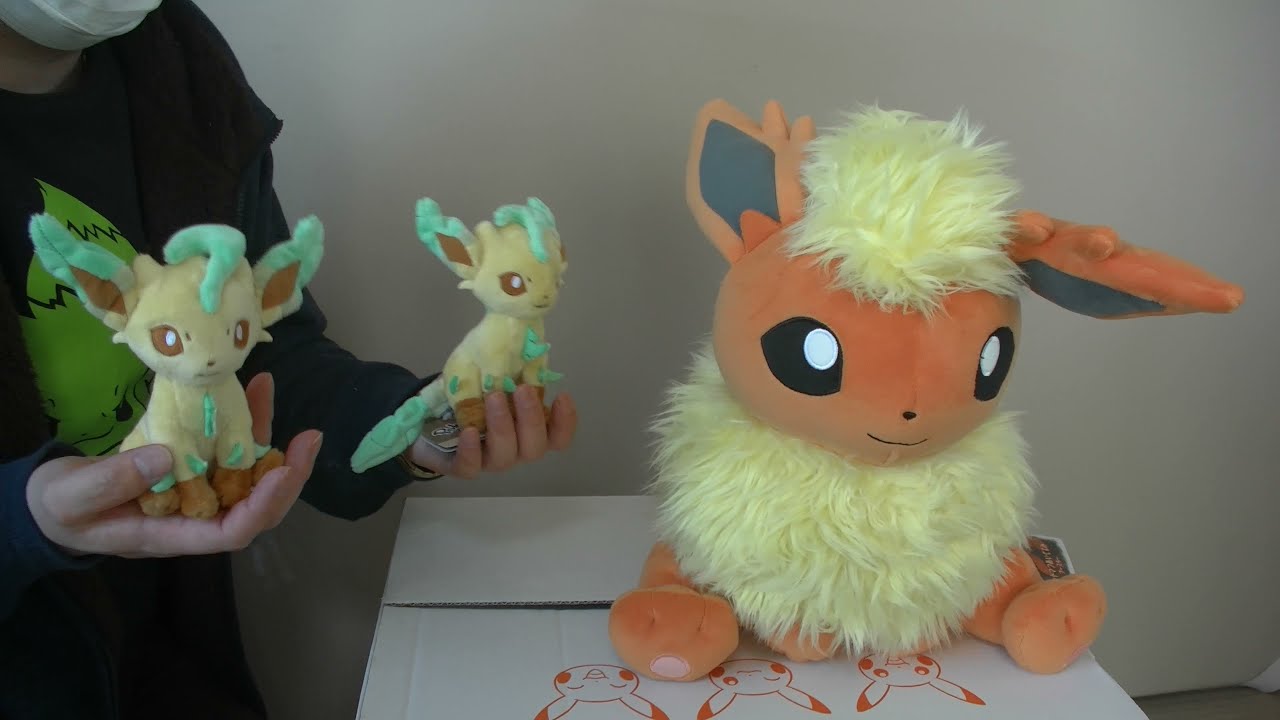 ハンドマフほんわかブースター Pokemonfitリーフィア ポケモンセンター Youtube