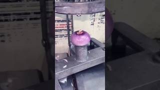 new business onion 🧅Powder #shorts #business