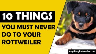 Famous 10 Things You Must Never Do to Your Rottweiler Wealth