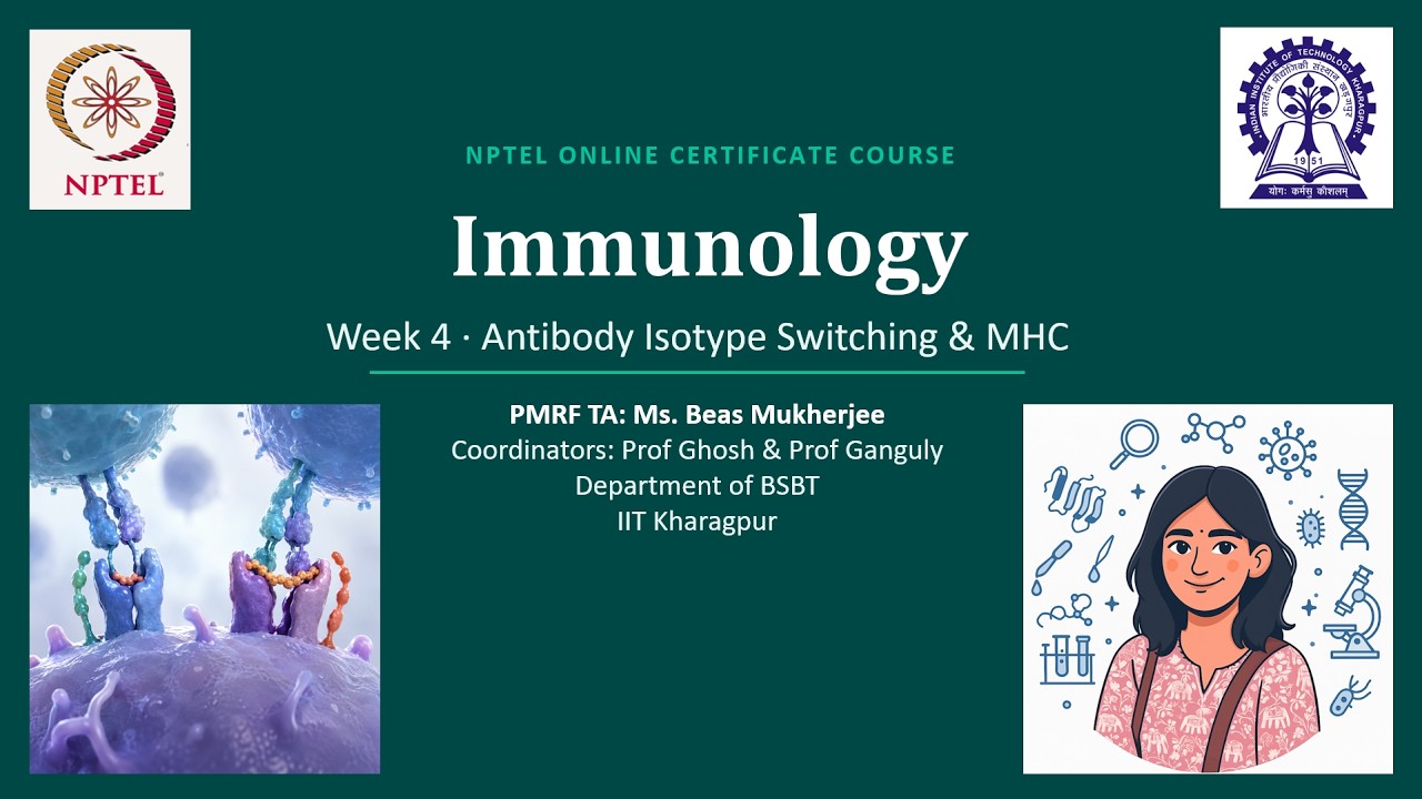 Antibody Diversity, Isotype Switching & MHC I vs II Explained | MCQ | Week 4 | NPTEL Immunology 2026