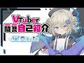 【自己紹介】Vtuber一問一答自己紹介【#新人Vtuber/星空bit】