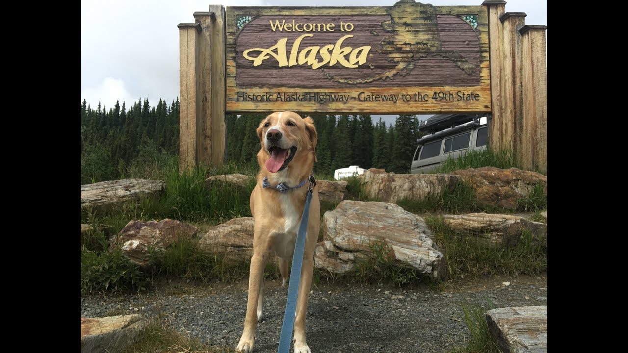 VAN LIFE: Journey to Alaska- Free Camping Guide