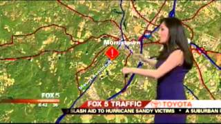 Career Overview FOX 5 NY Ines Rosales