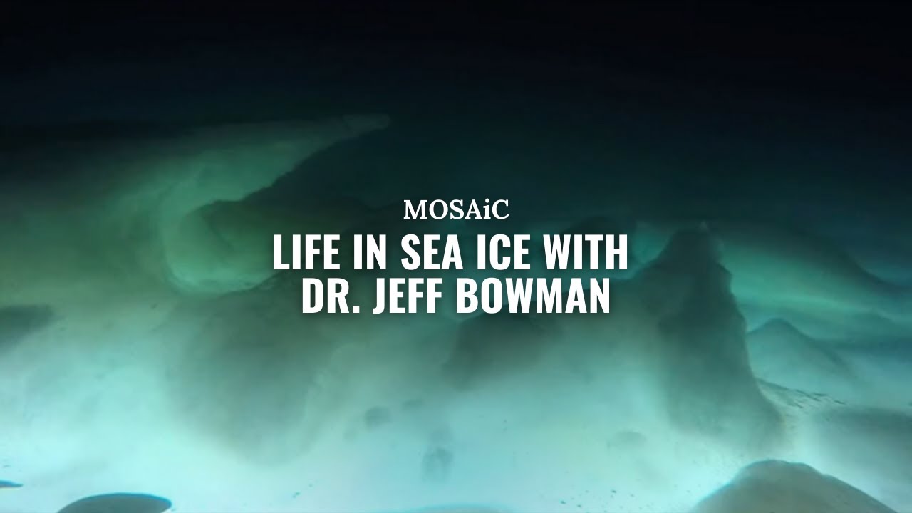Life in Sea Ice with Dr. Jeff Bowman