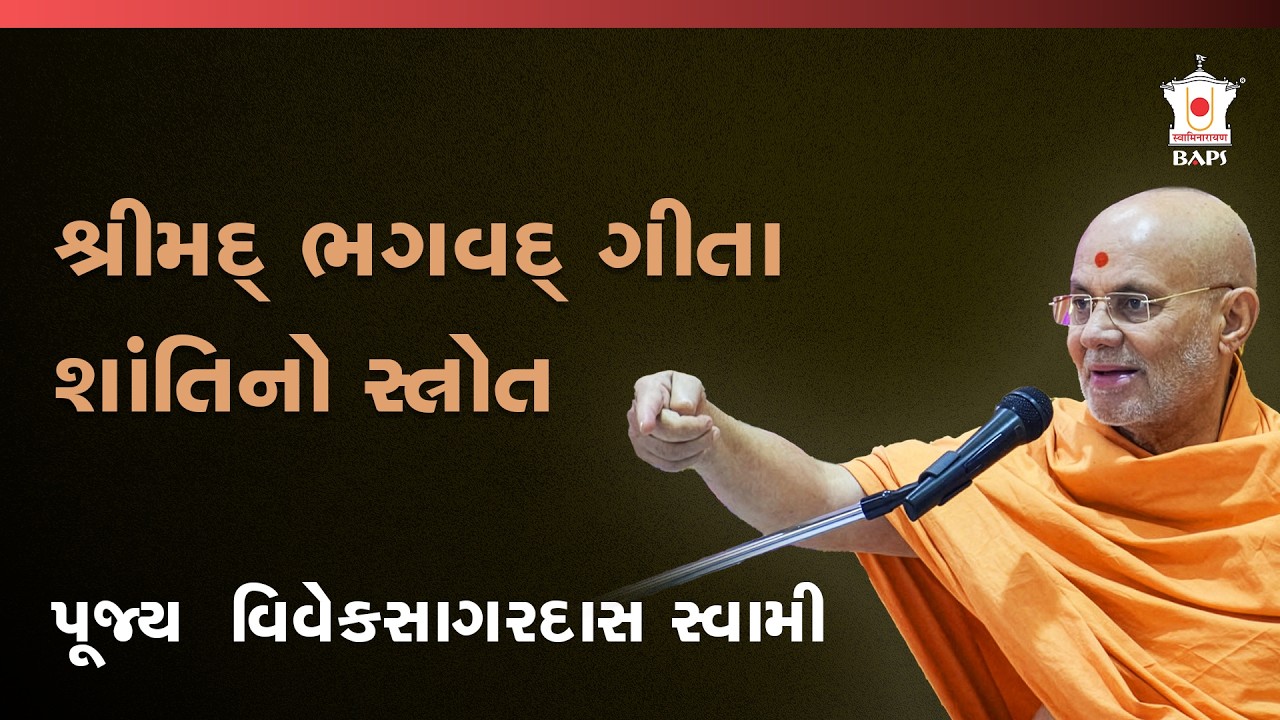 શ્રીમદ્ ભગવદ્ ગીતા શાંતિનો સ્ત્રોત | પૂજ્ય વિવેકસાગરદાસ સ્વામી | BAPS Satsang Katha