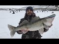 ОГРОМНЫЙ СУДАК  ЗИМНЯЯ РЫБАЛКА 2021 BIG ZANDER FISHING