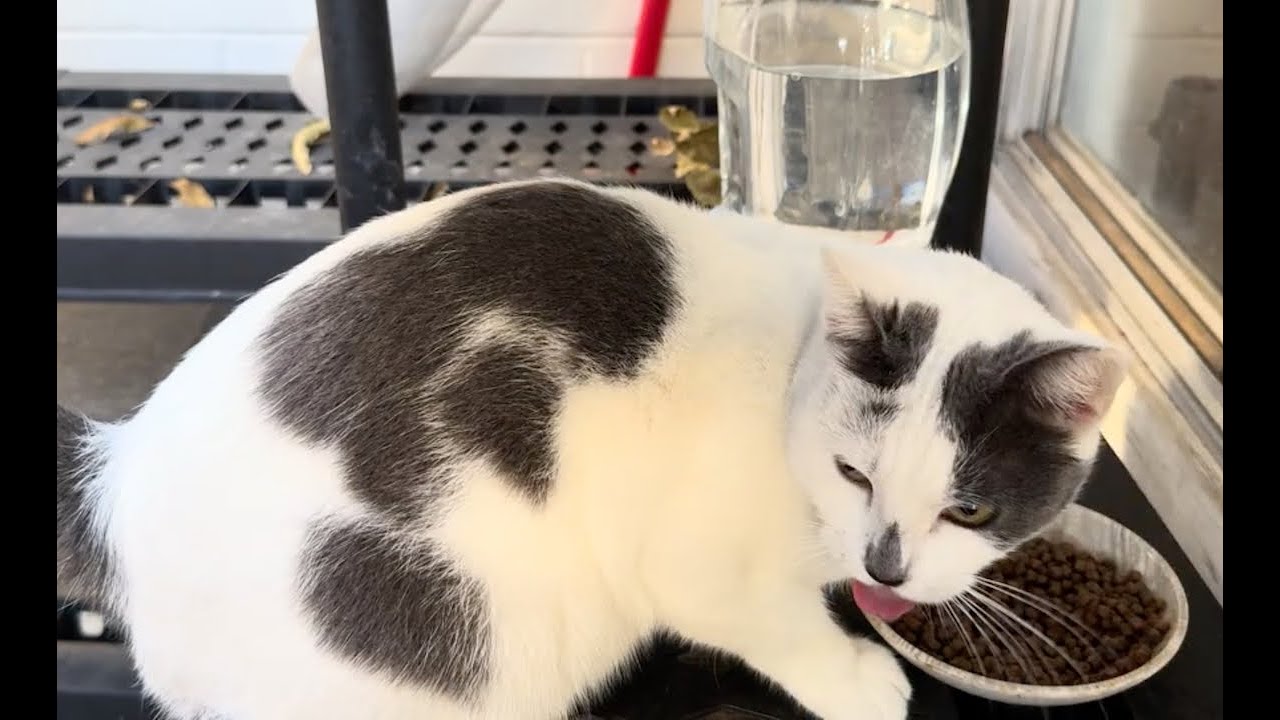 Minnie Dec 10th 2025