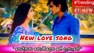 Orginal New love song | කෙදිනක නොමිදෙන සේ දැහැනේ | Lyrics By Udara madushan mendis