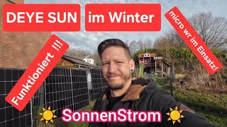DEYE Sun an Mikro Inverter Winter PV