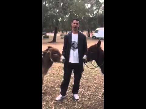 نسيمة الحر 