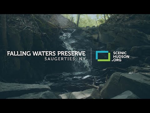 A Visit to Falling Waters Preserve in Saugerties, NY