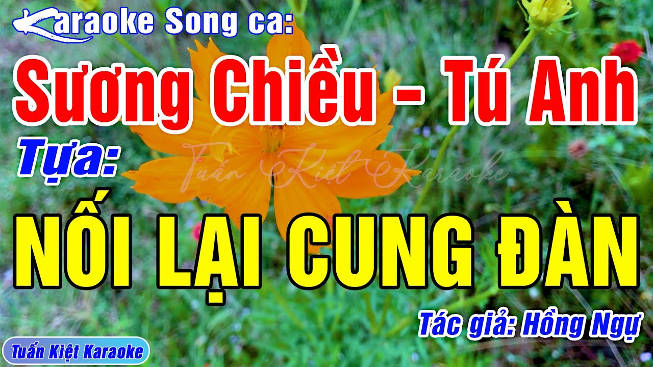 Karaoke Sương Chiều Tú Anh Nối Lại Cung Đàn Song Ca | Beat Mới Hay, Chuẩn – Tuấn Kiệt Karaoke