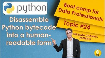 Disassemble Python bytecode into a human-readable form  | Topic #24