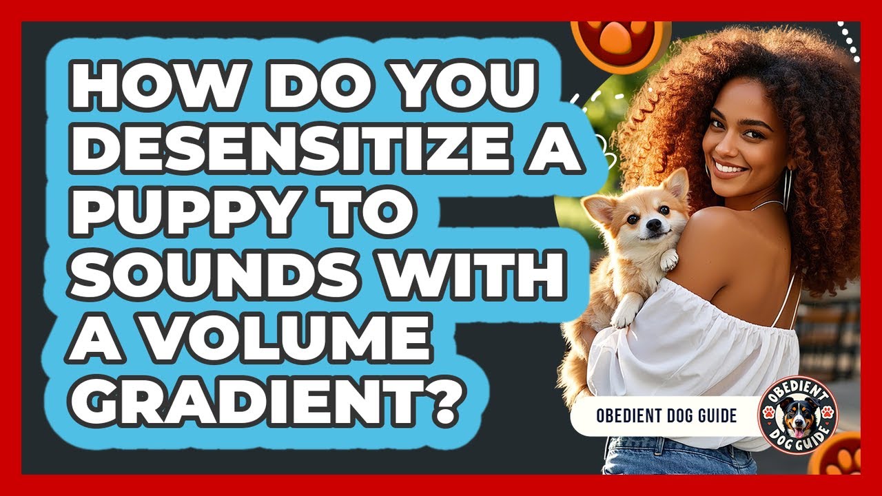 How Do You Desensitize A Puppy To Sounds With A Volume Gradient? - Obedient Dog Guide