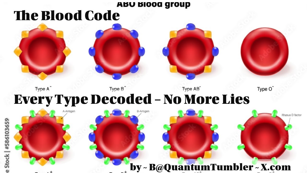 The Blood Code ~ Every Type Decoded by B@QuantumTumbler ~X com - YouTube