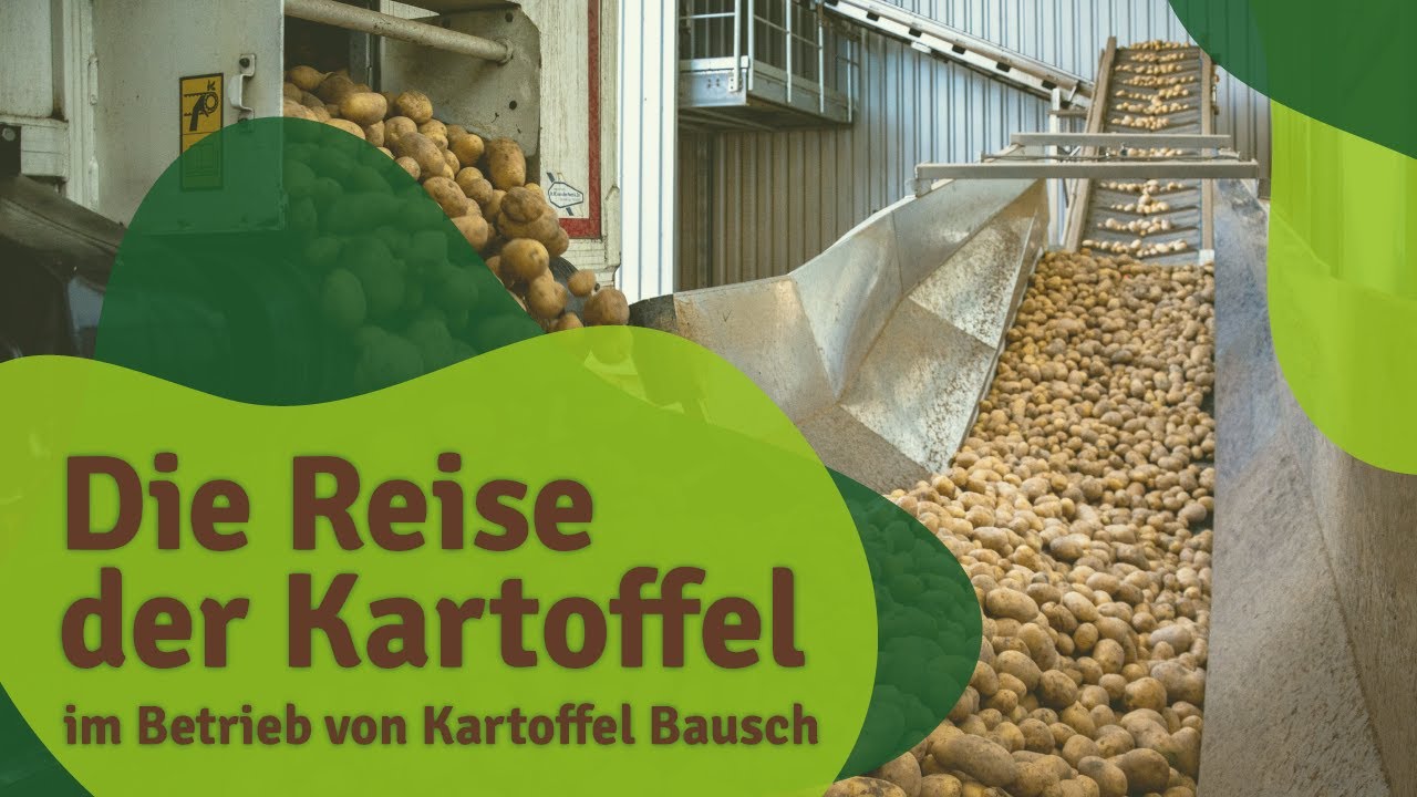 Die Reise der Kartoffel bei Kartoffel Bausch