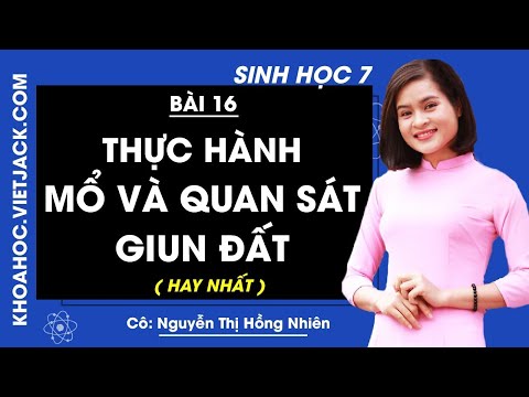 Video Sinh học 7 - Bài 16 - Thực hành: Mổ và quan sát giun... - YouTube