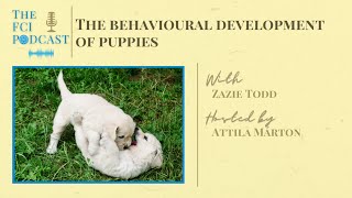 The behavioural development of puppies - The FCI Podcast
