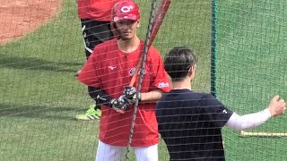 今日はかっ飛ばすぞ！矢野雅哉、打撃について西川龍馬からアドバイス求む！広島カープvsオリックスバファローズ 2026年6月5日