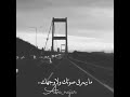 شلتك من قلبي