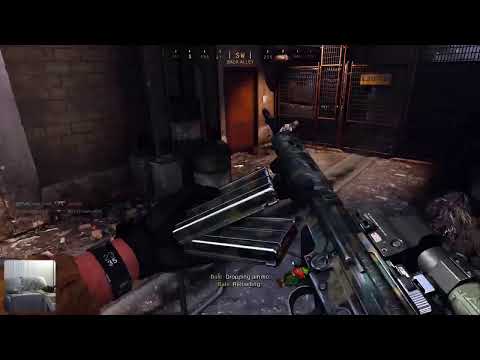 COD w/French bulldog
