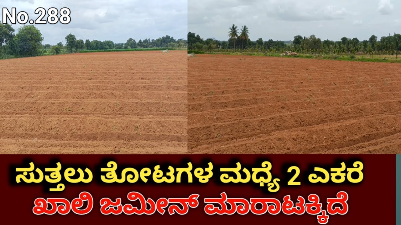 General Property Agriculture Land for Sale Near Challakere Chitradurga District