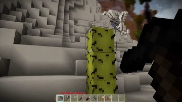 Terasology (Minecraft-like open source project) - Motion blur