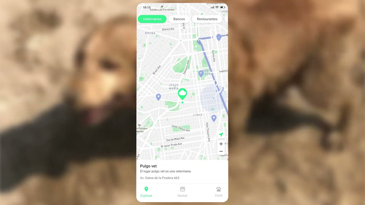 Encuentra Lugares Pet Friendly