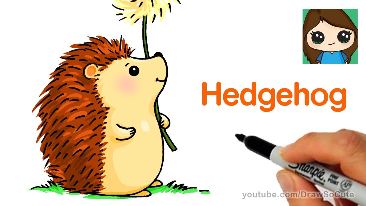 cute hedgehog drawing