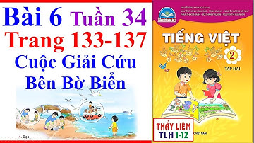 Tiếng Việt Lớp 2 Bài 6 Tuần 34 | Cuộc Giải Cứu Bên Bờ Biển | Trang 133 - 137 | Chân Trời Sáng Tạo