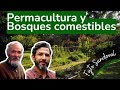 Los bosques comestibles en la permacultura