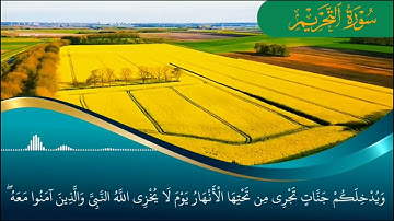 تلاوة بالمقام اليمني سورة التحريم مازن الواقدي