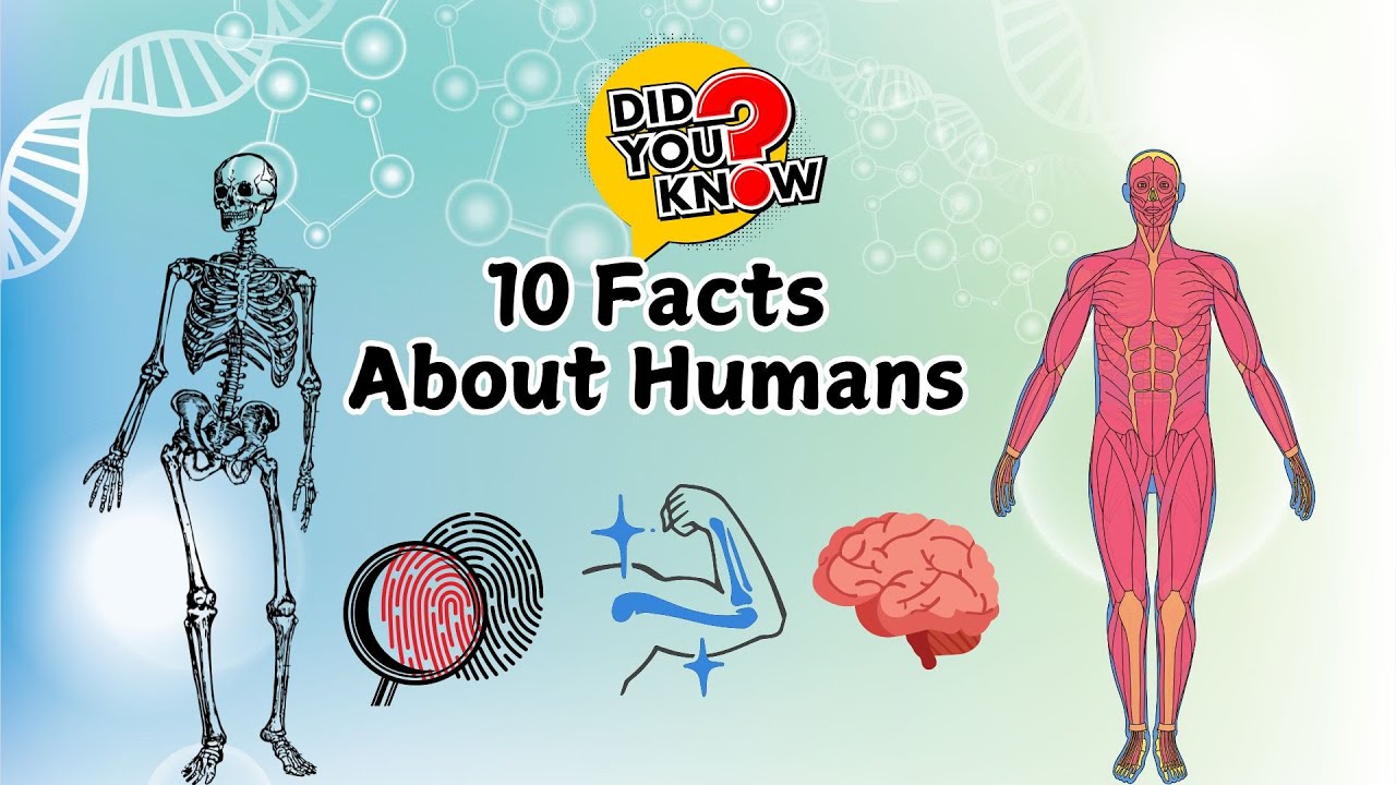 10 Amazing Facts of Human Body | Educational Video for Kids - YouTube