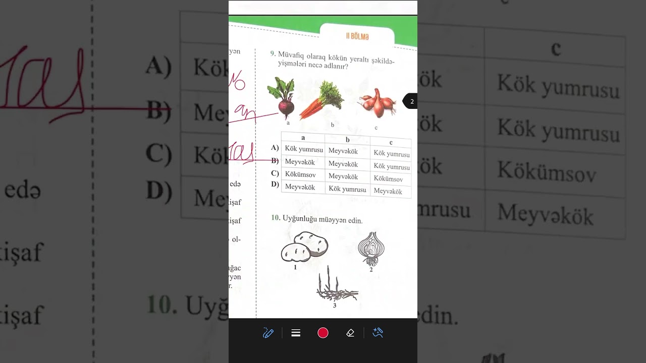Biologiya RFM hazırlıq vəsaiti. Bölmə 2 sınaq 3.