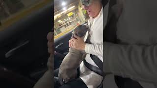 Meeting Foster Grandma