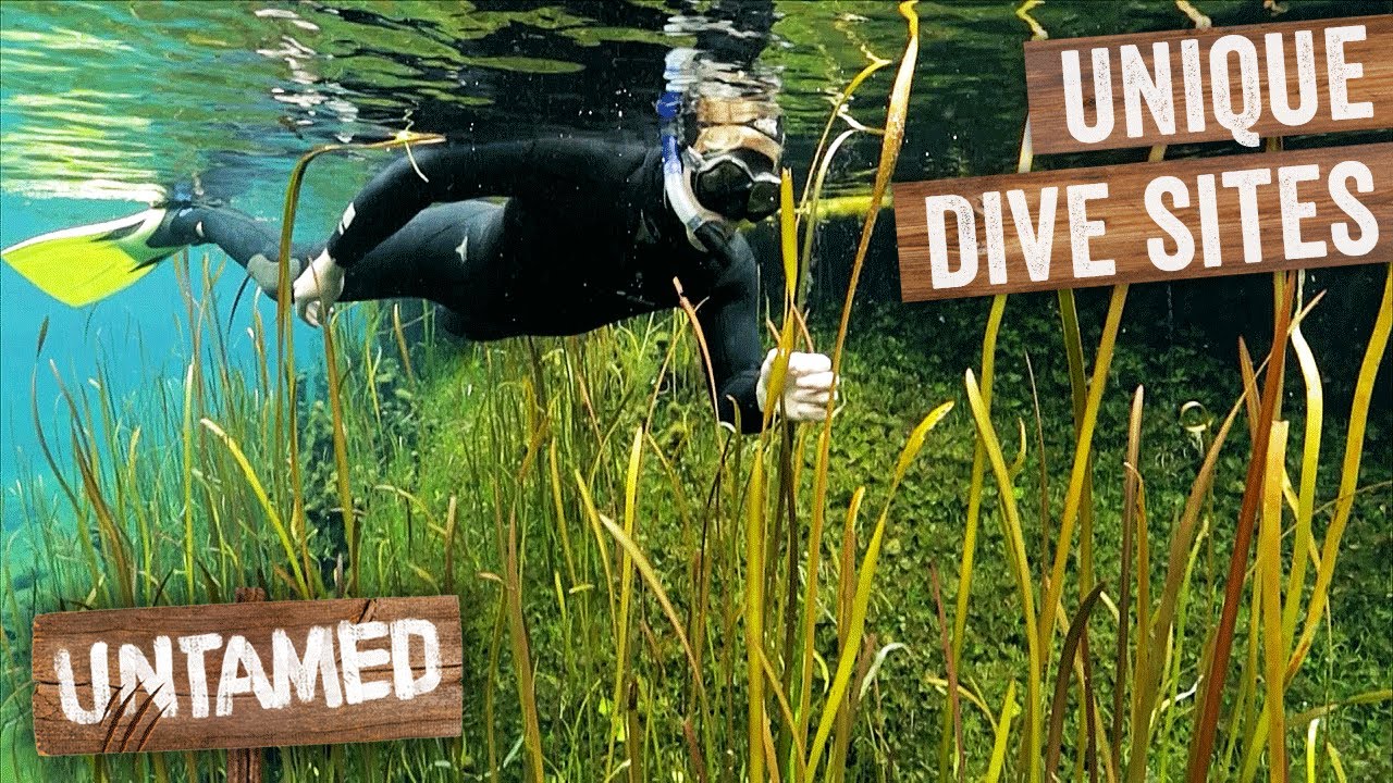 Купание в самых холодных и чистейших водах карстовых воронок