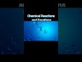 Chapter 1 Science Most Important Questions  Class 10th  Mp Board Exam 2026