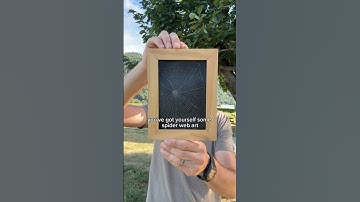 how to preserve a spider web and turn it into art