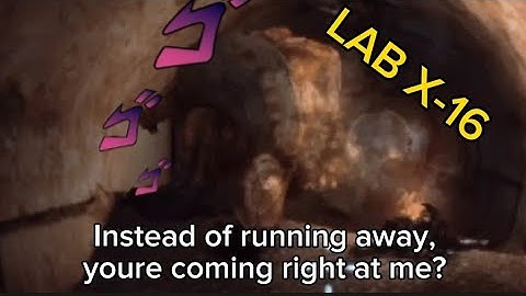 The Lab X-16 expierience [Stalker Anomaly]