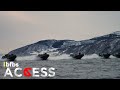 Royal Marine Commandos Arctic Warfare #SHORT