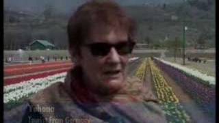 Asias largest tulip garden