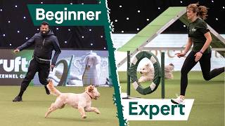 From Beginner to Expert: Dog Agility