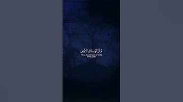 Surah Al-Maidah 035-037 سورة المائدة #quraniv #quran