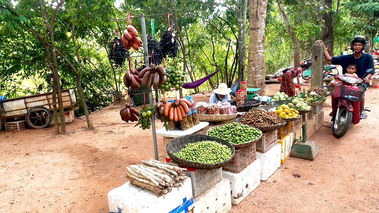 Travel In Cambodia, Walking Tour At Angkor Street Fruit | Sumsooth
