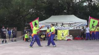 香港功夫表演201612049