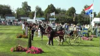 CH050 Tuigpaarden010 eenspannen, dames CH = Concours Hippique van Buitenpost