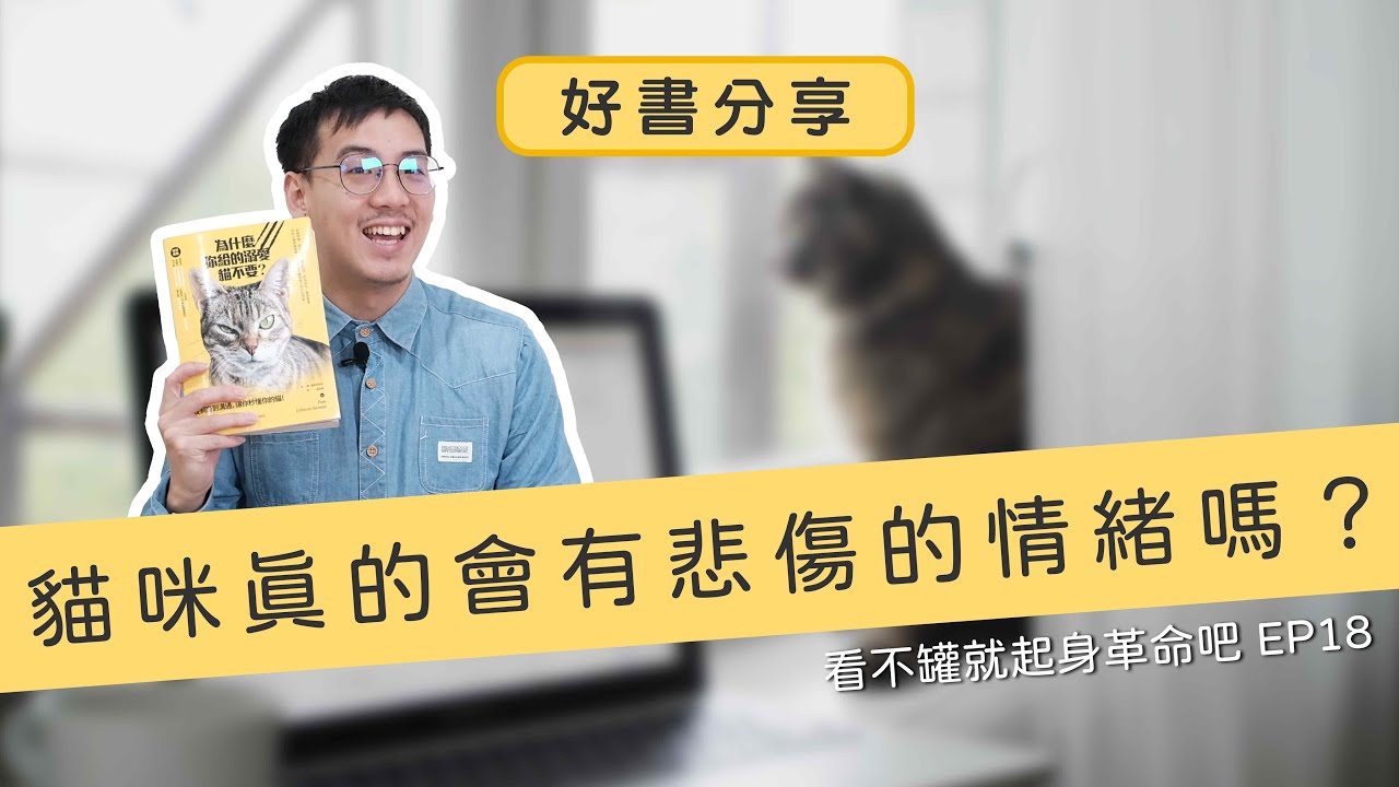 貓咪真的會有悲傷的情緒嗎？如果我家的貓咪一直喵喵叫該怎麼辦？ | 為甚麼我給的溺愛貓不要？ | 喵讀 | 喵皇奴 【唯喵百科 #12】 縮圖